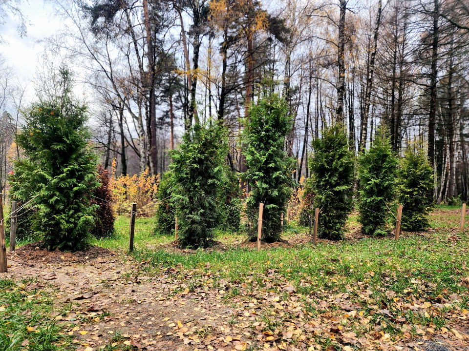 Фото: Мария Овчинникова