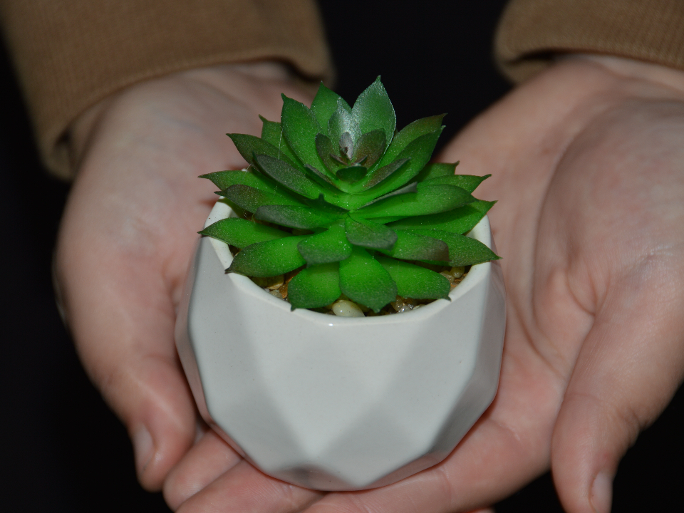 Фото: личный архив Михаила Мартыненко