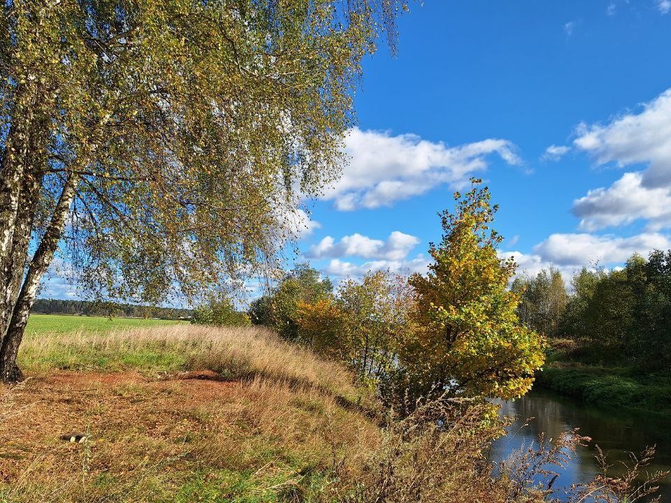 Фото: REGIONS/Максим Зубарев