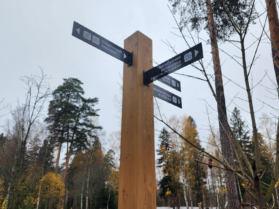 Фото: МедиаБанк Подмосковья/Екатерина Мелкозерова