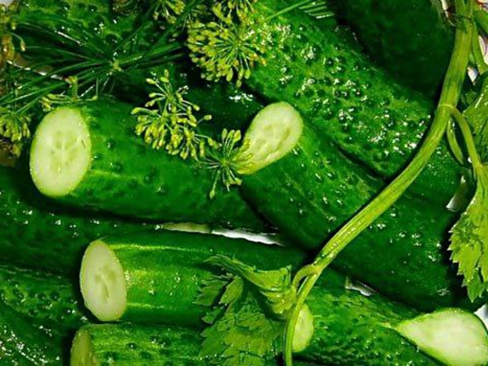 Фото: REGIONS/Максим Зубарев