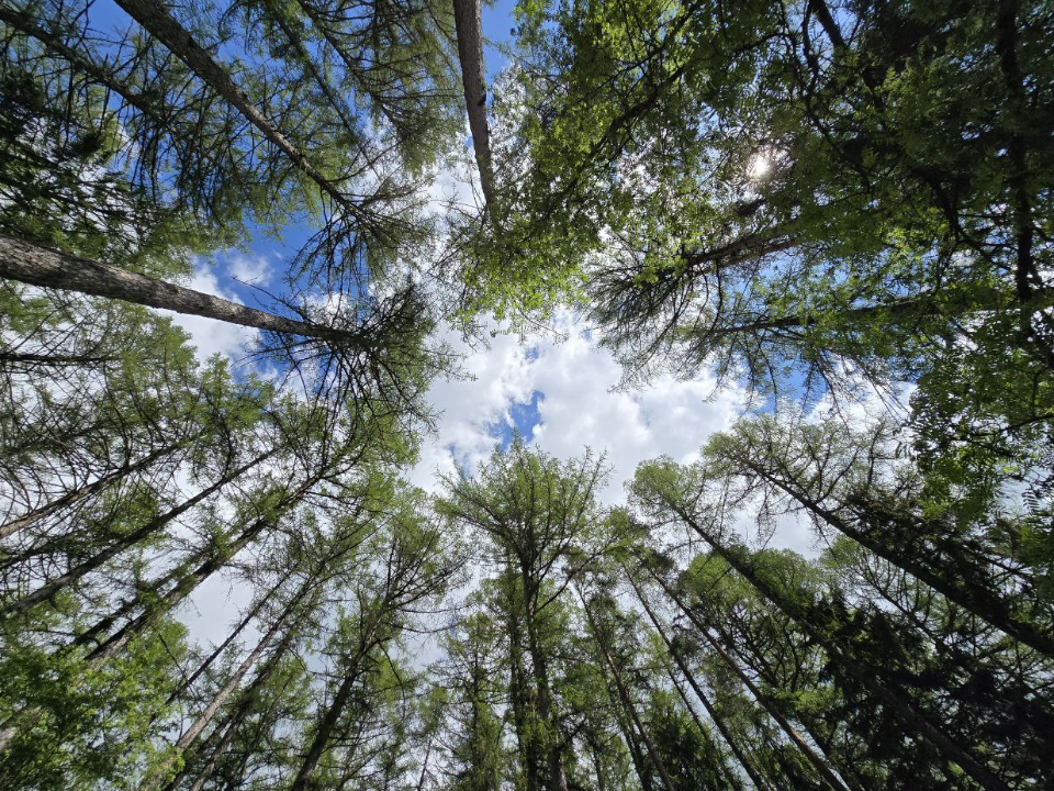 Фото: МедиаБанк Подмосковья/Яна Шаливская