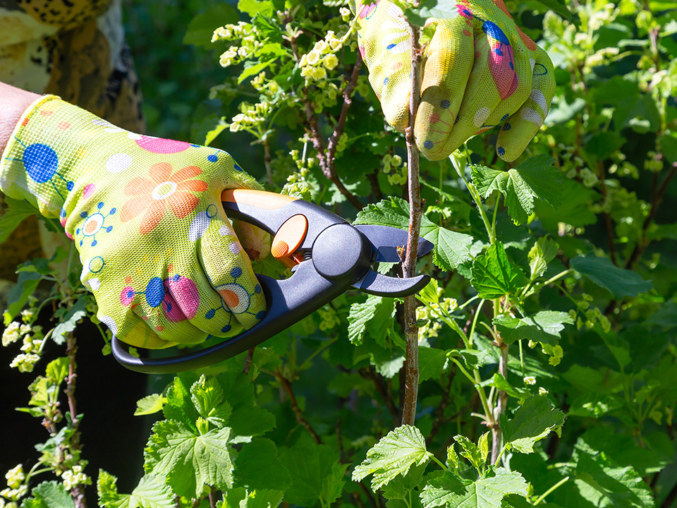 Фото: istockphoto.com/Zabavna