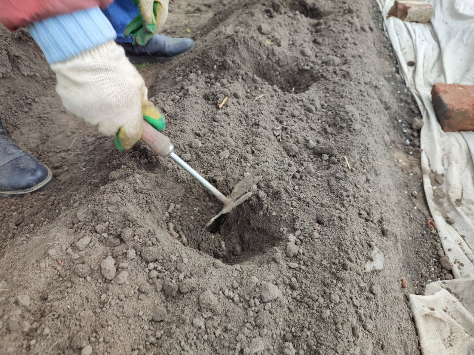 Фото: REGIONS/Елена Забелина