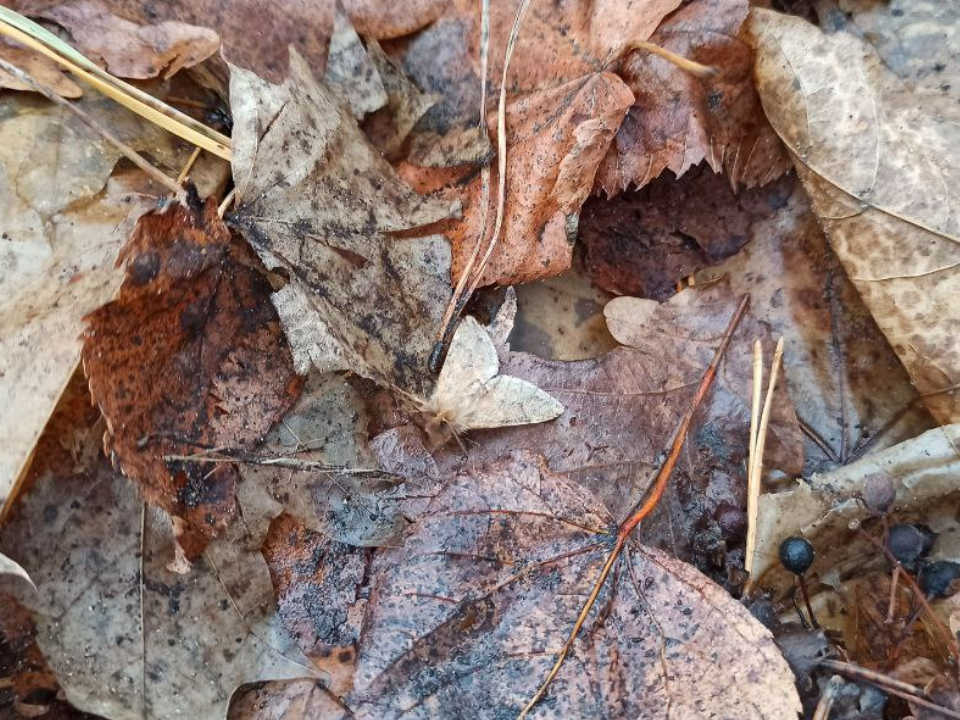 Фото: REGIONS/Эльвира Сафина