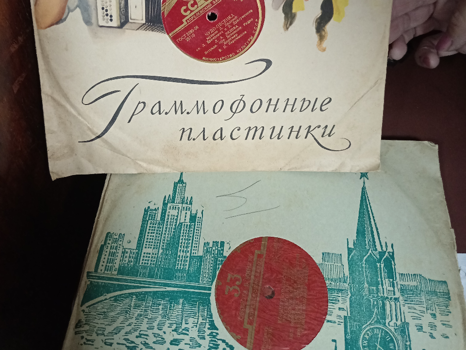 Фото: REGIONS/Виктория Гордеева