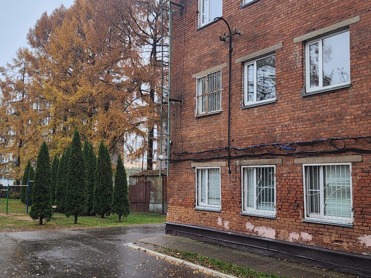 Фото: МедиаБанк Подмосковья/Ирина Кузова