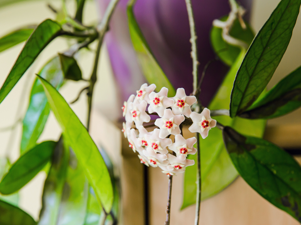 Фото: istockphoto.com/Helin Loik-Tomson