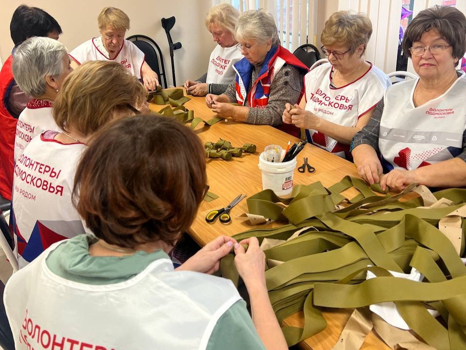 Фото: Волоколамский Ресурсный центр «Волонтеров Подмосковья»