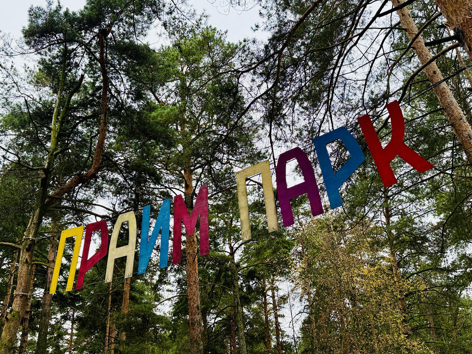 Фото: МедиаБанк Подмосковья/Ольга Стаферова