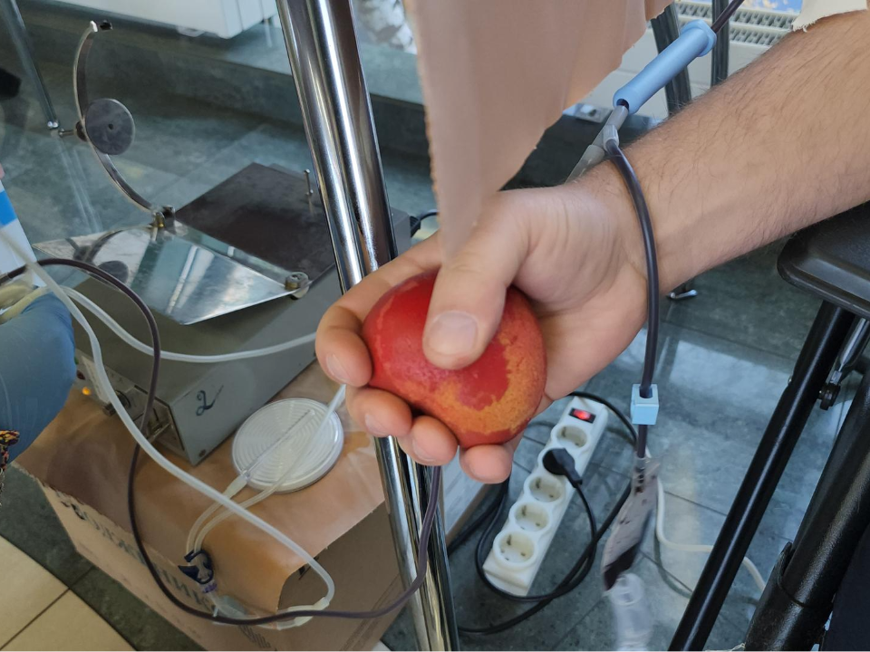 Фото: МедиаБанк Подмосковья/Наталья Лымарь