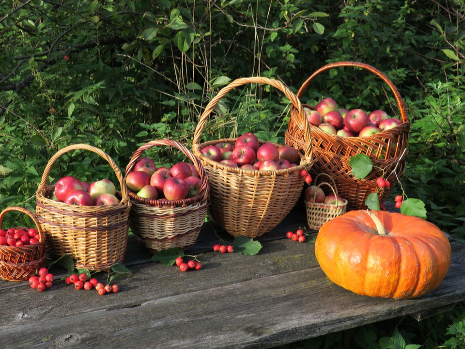 Фото: медиасток.рф