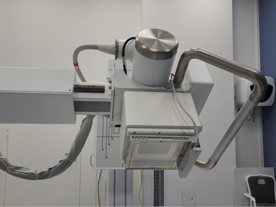 Фото: МедиаБанк Подмосковья/Наталья Лымарь