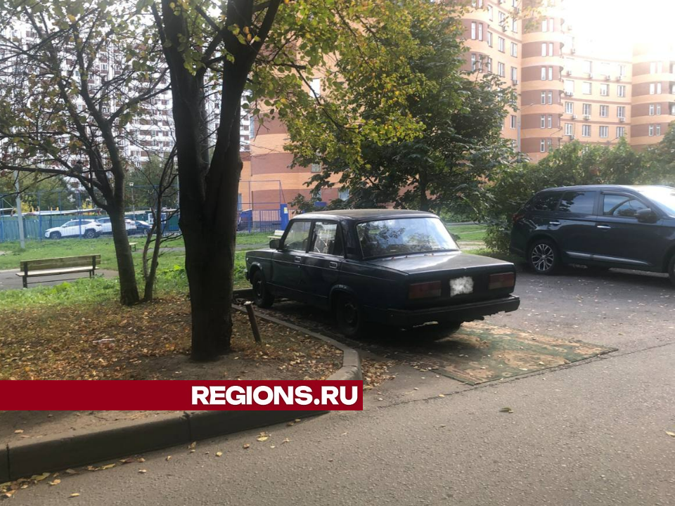 Фото: REGIONS/Дарья Назарова