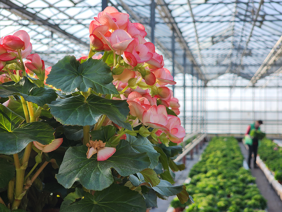 Фото: МедиаБанк Подмосковья/Юлия Андросова