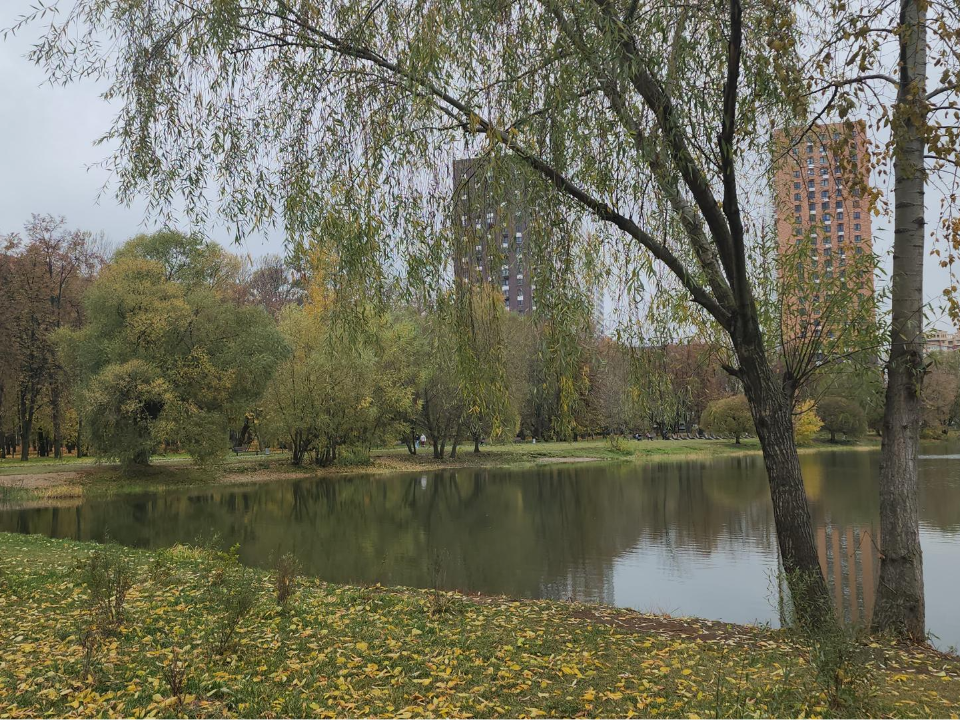 Фото: МедиаБанк Подмосковья/Наталья Лымарь