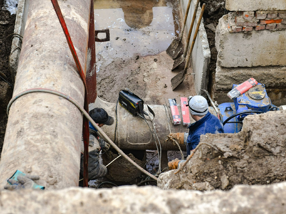 Фото: пресс-служба администрации г.о. Химки