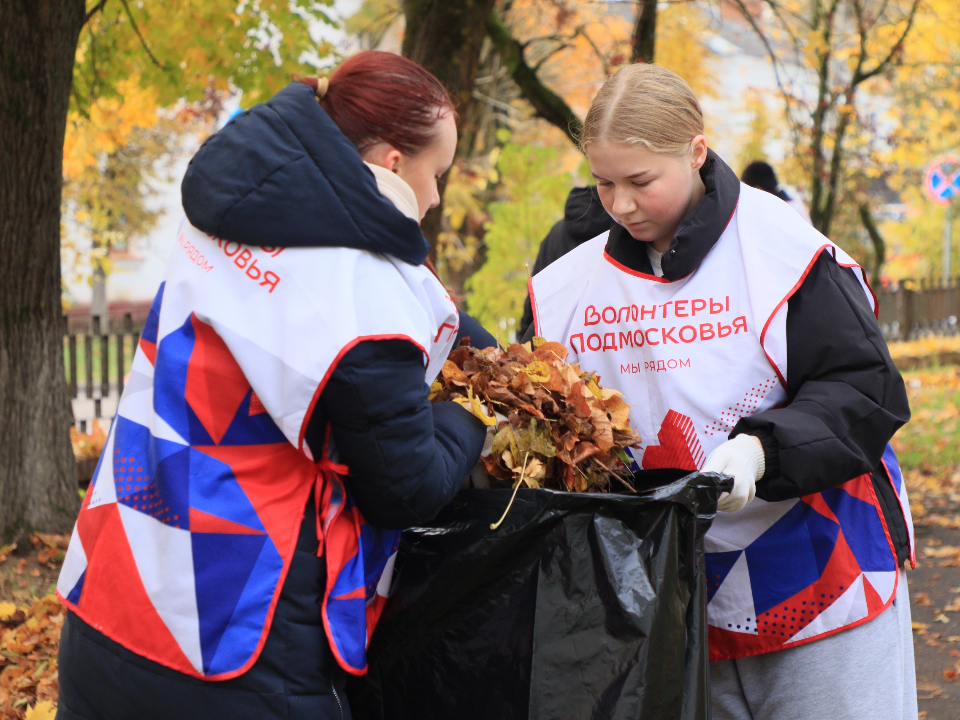Фото: Волоколамский Ресурсный центр «Волонтеров Подмосковья»