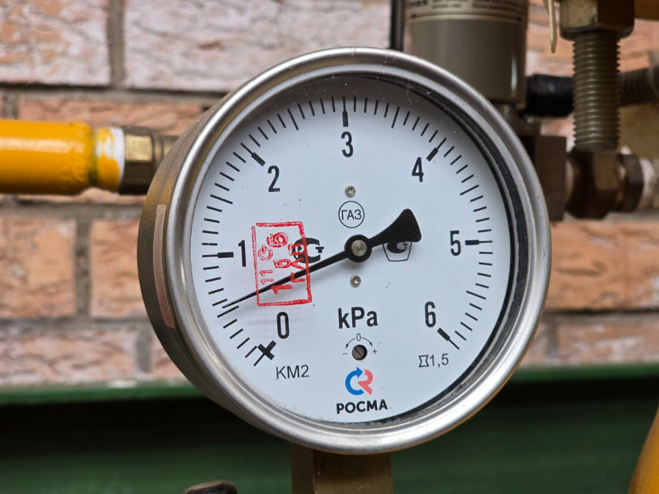 Фото: МедиаБанк Подмосковья/Яна Шаливская