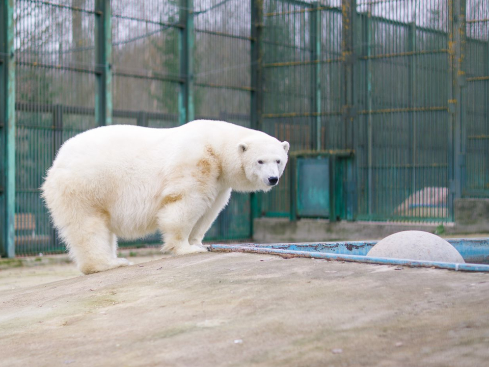 Фото: медиасток.рф