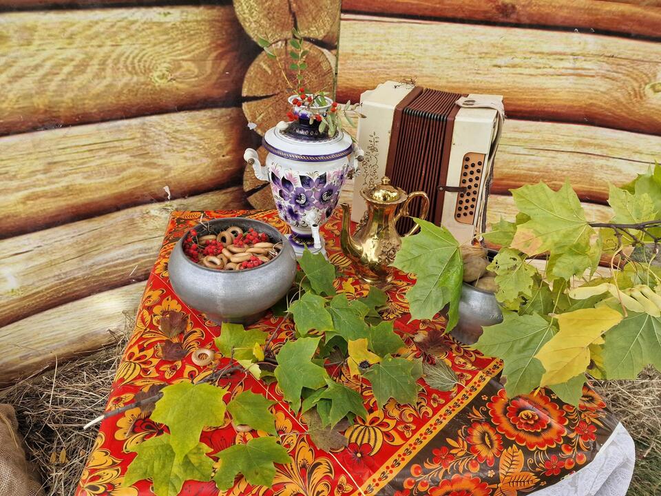 Фото: Анастасия Игнатова