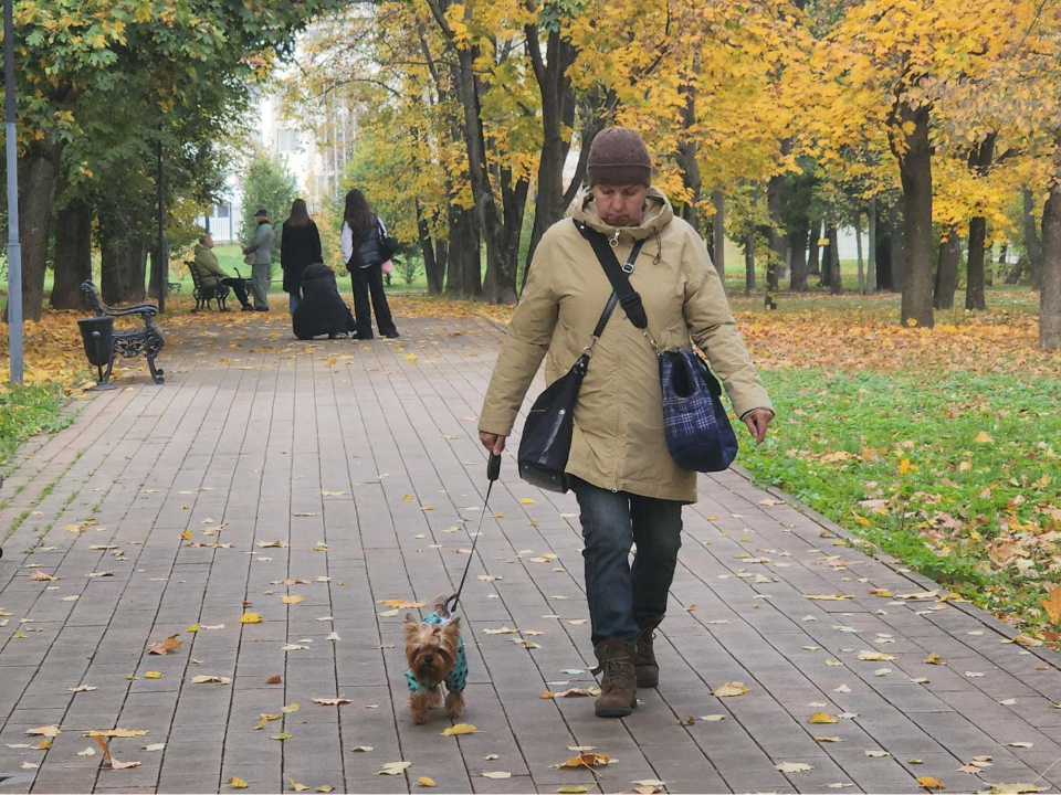 Фото: МедиаБанк Подмосковья/Наталья Лымарь