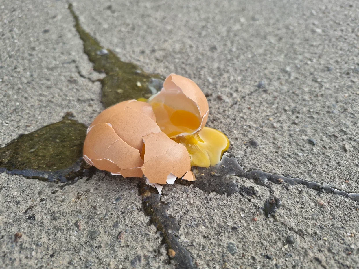 Фото: REGIONS/Наталия Надточая 