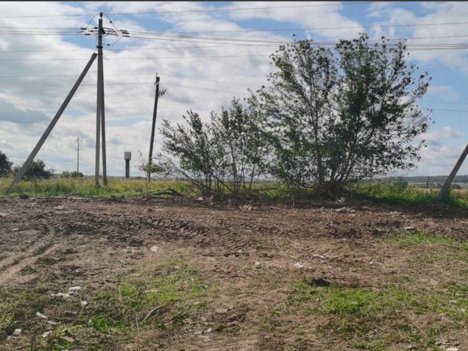 Фото: Комитет по архитектуре и градостроительству Московской области