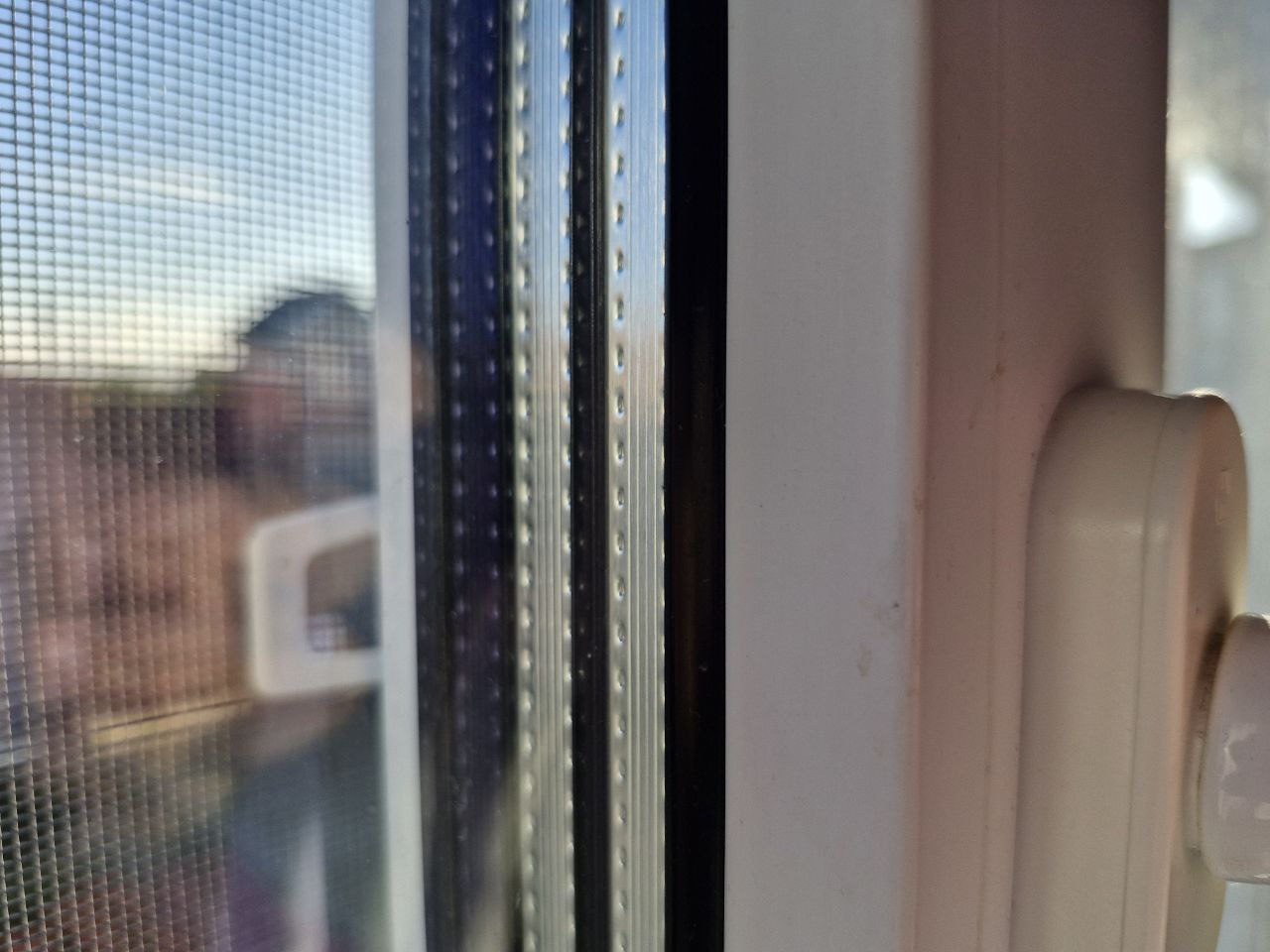 Фото: REGIONS/Наталия Надточая