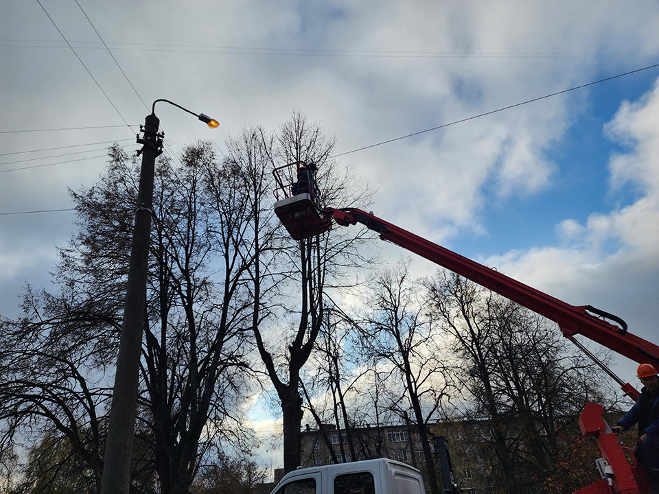 Фото: МедиаБанк Подмосковья/Екатерина Мелкозерова