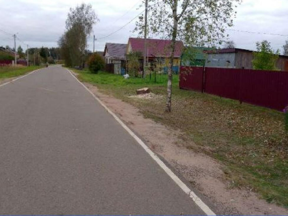 Фото: пресс-служба администрации м.о. Лотошино