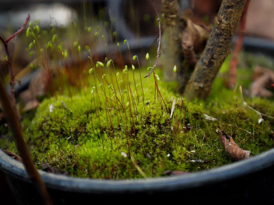 Фото: REGIONS/Наталия Надточая 