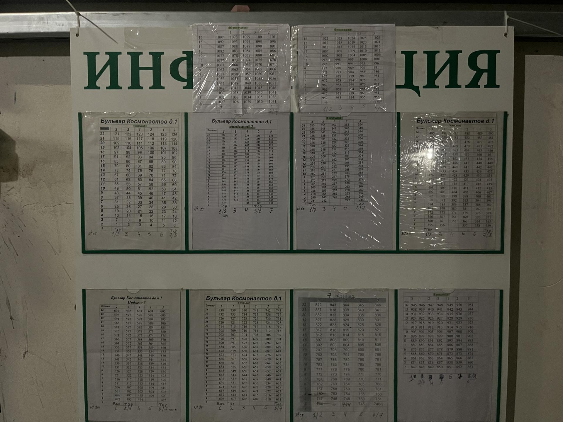 Фото: REGIONS/Кристина Ларина