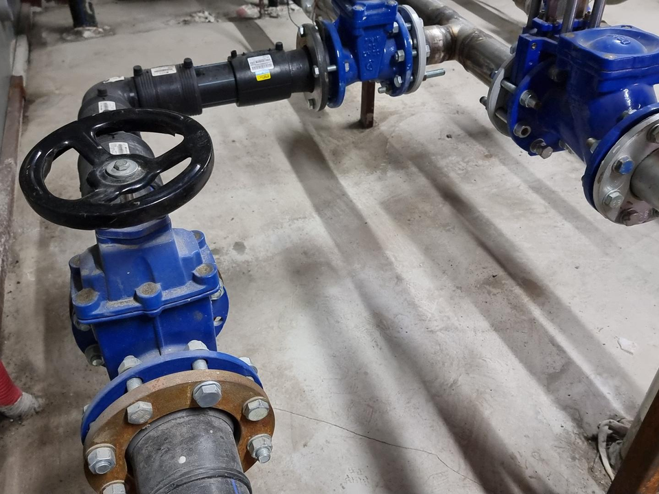 Фото: МедиаБанк Подмосковья/Мария Юдина