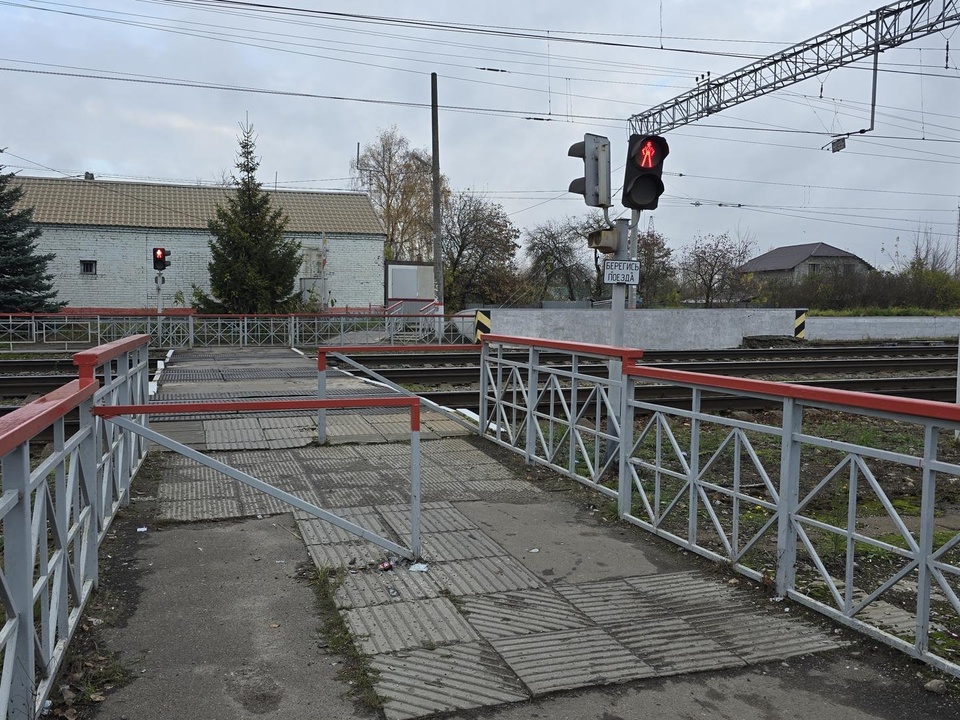 Фото: МедиаБанк Подмосковья/Марина Анисимова