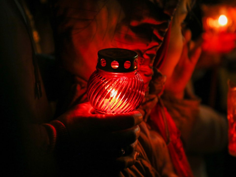 Фото: пресс-служба администрации г.о. Химки