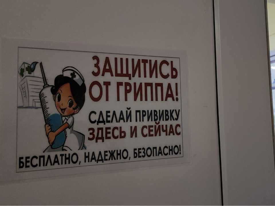 Фото: МедиаБанк Подмосковья/Наталья Лымарь