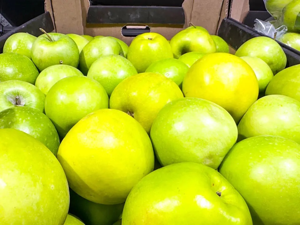 Фото: REGIONS/Владимир Ерастов