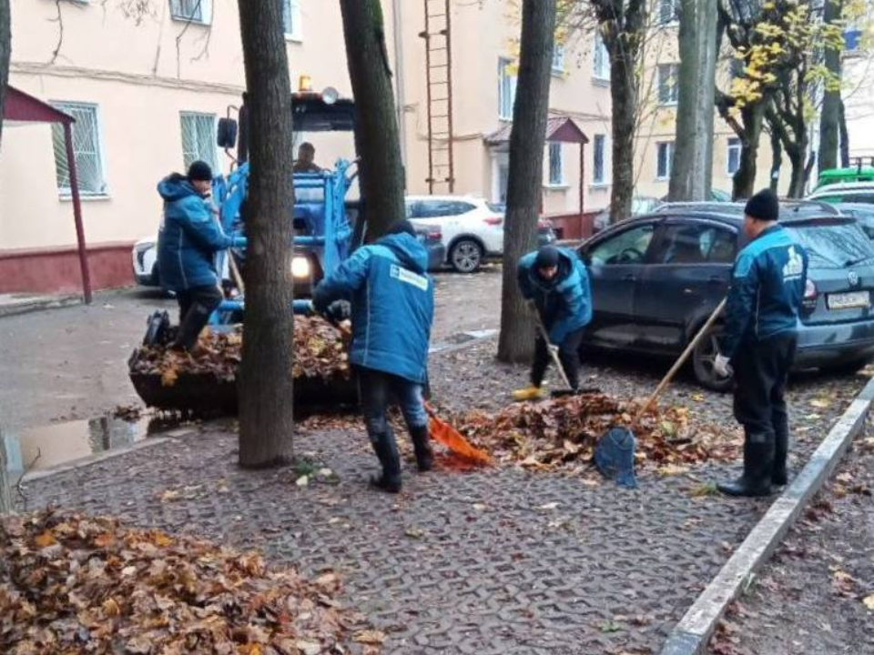 Фото: пресс-служба администрации г. о. Подольск