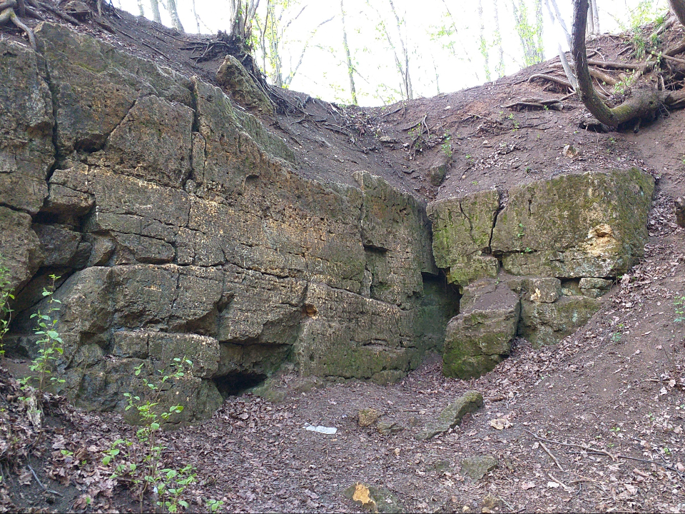 Полушкинские каменоломни. Фото: личный архив Надежды Чистяковой