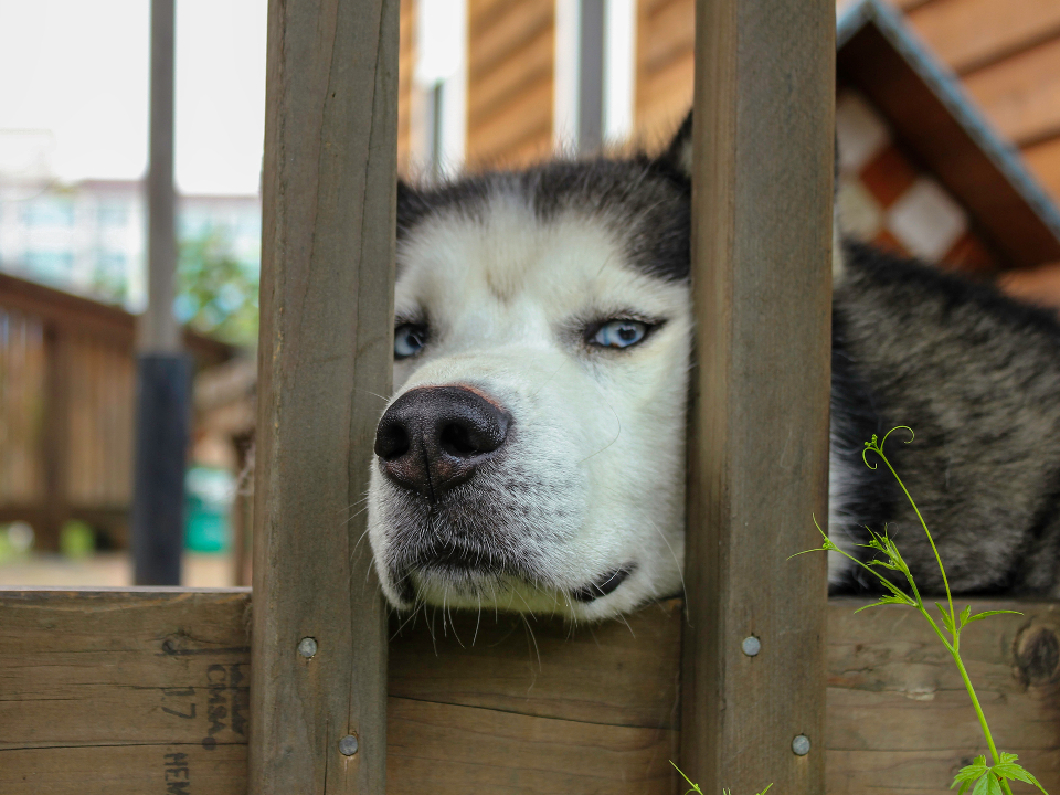 Фото: istockphoto.com/cbglp2