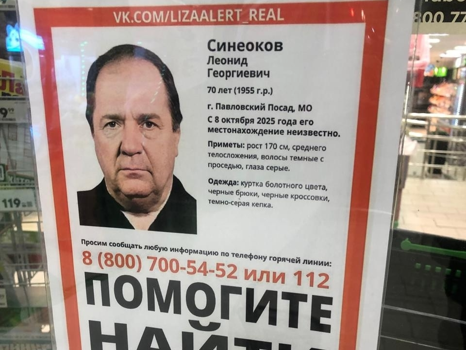 Фото: t.me/lizaalert