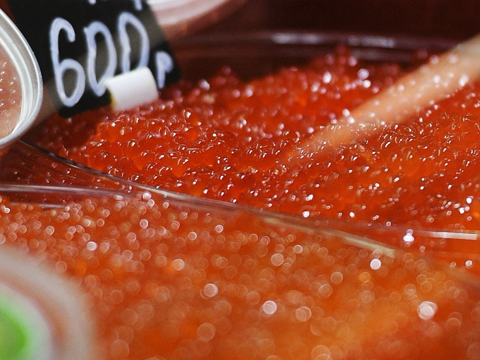 Фото: РИА Новости/Евгений Одиноков