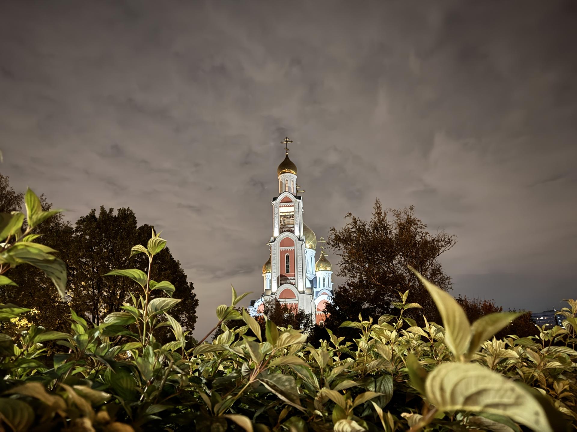 Фото: REGIONS/Мария Шматкова