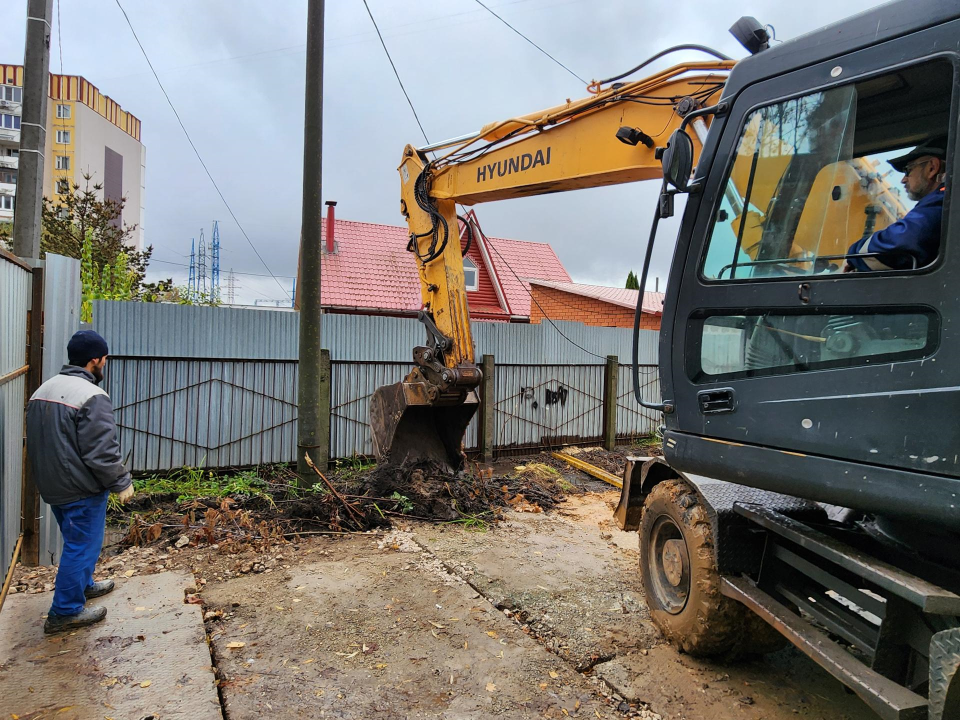 Фото: Медиабанк Подмосковья/Дмитрий Алексеенко
