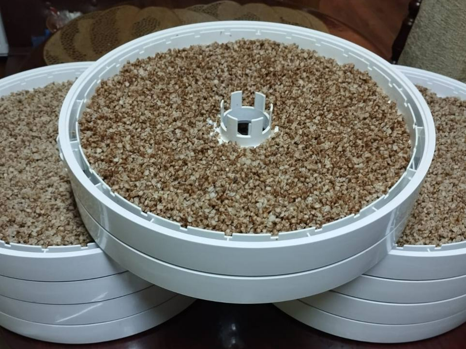 Фото: t.me/Shahovskaypolevaykuhnaydlaysvoih