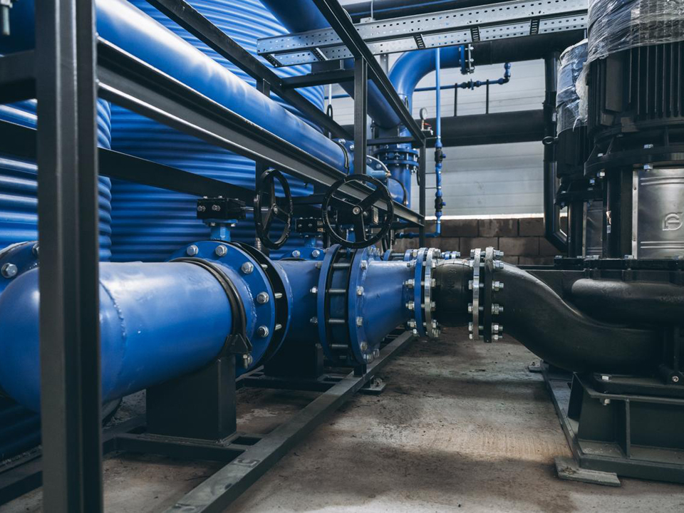 Фото: пресс-служба администрации г.о. Щелково