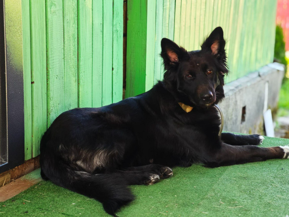 Фото: личный архив Галины Архиповой