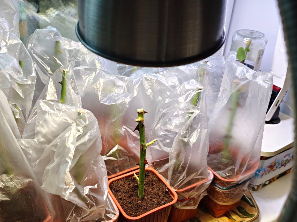 Фото: Ирина Зубарева