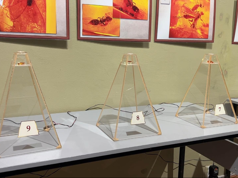 Фото: Виктория Фортуна